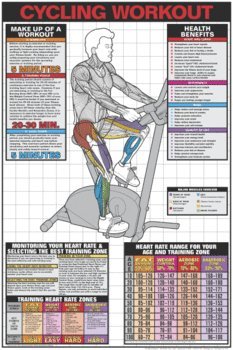 Stationary Cycle 24