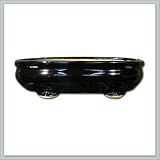 41eFwMrb4JL. SL160  Chinese Bonsai Pot | Black oval with feet 9 inch
