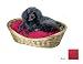 Snoozer Large Wicker Basket Pet Bed with Red Pillow