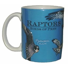 Coffee Mug with Hawks and Raptors by Crossings
