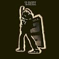 Electric Warrior