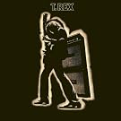 Electric Warrior  [Vinyl LP] [Vinyl LP]