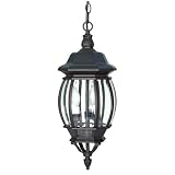 Nuvo Lighting 60-89 Central Park 3 Light Hanging Outdoor Pendant - 4524819
