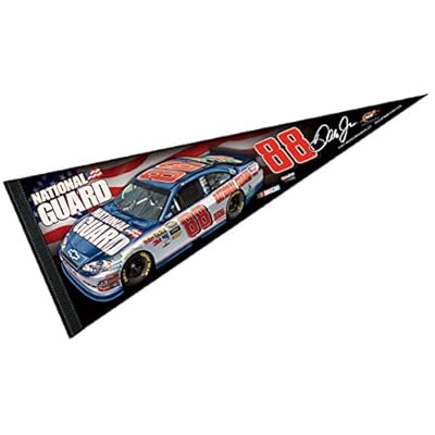 Dale Earnhardt Jr. Pennant and Banner