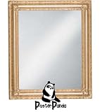 Review PosterPanda.com  / 11x14 - Silver Leaf - Shell Design FRAMED MIRROR