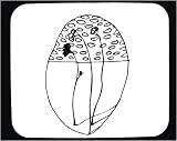 Mouse Pad with 