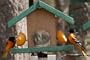 Looker Cedar Oriole Bird Feeder