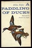 A paddling of ducks
