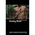 Healing Water: A Hawaiian Story by Joyce Moyer Hostetter