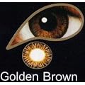 Coloured Contact Lenses with Free Solution & Case - Golden Brown (3 Months)