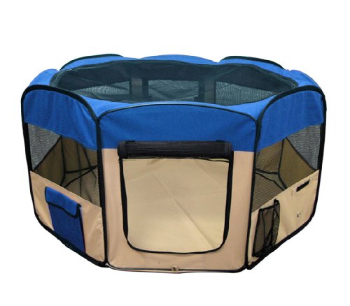 bearded dragon exercise pen