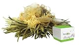 Teaposy Noble Essence Tea- Box of 6
