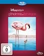 Das Geheimnis der Flamingos [Blu-ray]