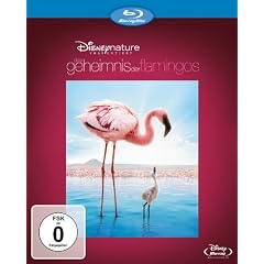 Das Geheimnis der Flamingos [Blu-ray]