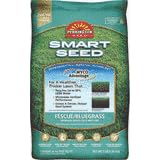 Pennington Seed Inc 118910 Smart Seed Fescue Bluegrass
