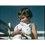 President Carter,Killer Rabbits & UFO's <b>DVD</b> ~ Denis Taaffe