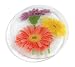 Peggy Karr Gerbera Garden 8-Inch Handmade Art Glass Plate