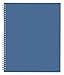Blue Sky 2015-2016 Academic Year Weekly and Monthly Planner, Endless Summer Collection, Wire-O Bound, Blue Cover, 8.5 x 11 Inches (17350-W)