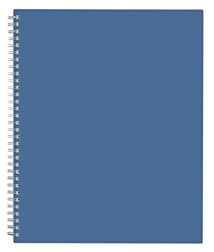 Blue Sky 2015-2016 Academic Year Weekly and Monthly Planner, Endless Summer Collection, Wire-O Bound, Blue Cover, 8.5 x 11 Inches (17350-W)