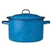 IMUSA Enamel Stock Pot - Turquoise (7.75 qt.)
