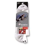 Mens Champion High Performance No Show Socks 10-13 - CH1983 at Champion