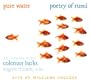 Pure Water - Poetry of Rumi