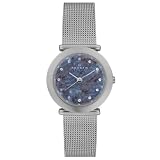 Skagen Women's 107SMM Mesh Stainless Steel Watch