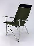 Designer's Aluminum Relax Chair (Green)