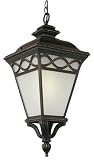 Bel Air Lighting PL-50517 BRB  Burnished Bronze Outdoor Hanging Light