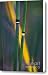 Water Horsetail Canvas Print / Canvas Art - Artist Heiko Koehrer-Wagner