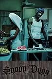 Snoop Dogg - Music Poster (Snoop Ironing) (Size: 24