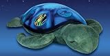 Cloud B Twilight Sea Turtle AND Twilight Ladybug Set (2 Items)