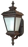 Nuvo Lighting 60/2523 Charter Outdoor Wall Lantern Arm Up with Photocell, Milky White Water Glass, Old Penny Bronze