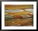 Abstract Created by a Close View of Snow Gum Tree Bark National Geographic Collection...