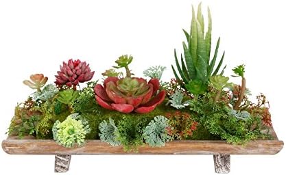 Assorted Faux Succulent Arrangement in Wood Plate (Red)