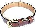 Luxury Brown Padded Leather Dog Collar - Genuine Real Leather - For Male or Female Medium Dog Breeds - By Soft Touch Collars