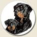 Rottweiler puppy dog breed Auto Coaster, Single Coaster for Your Car cup holder