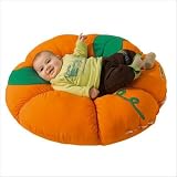 Snuggly Nest Pumpkin Large Cushion by WESCO
