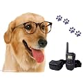 iClever� LCD Remote Control Dog Training Ant-Bark Anti-Barking Collar with 100 Level of Vibration+ 100 Level of Static Shock+ Tone (Free Batteries included for Immediate Use!)