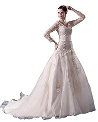 A-line V-neck Organza Lace Floor Length Dropped   Waistline  Dress with a Chapel Train 