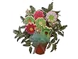 Red/green Flowers 6 Cookies Bouquet