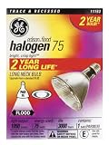 Search : GE Lamps 16393 75-Watt PAR30L Edison Halogen Floodlight