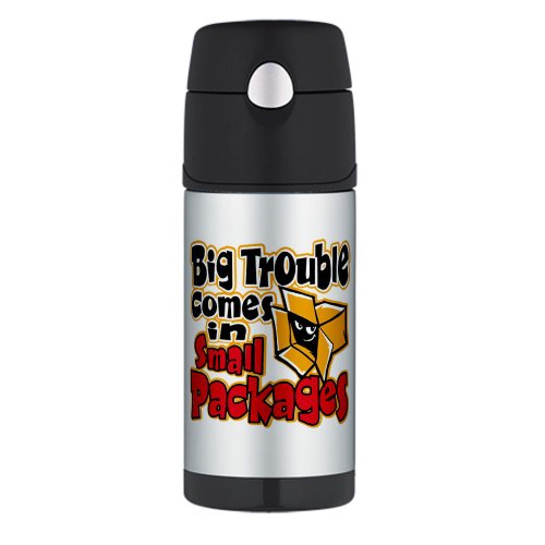 Thermos Travel Water Bottle Big Trouble Comes In Small Packages