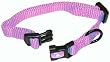 Hamilton "Fits All" 3/8" Adjustable Nylon Dog Collar, Lavender, X-Small (7-12 in)