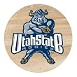 Thirstystone Natural Sandstone Set of 4 Coasters Utah State University