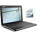 Video Games : MSI Wind U100-420US 10-Inch Netbook (1.6 GHz Intel Atom Processor, 1 GB RAM, 120 GB Hard Drive, XP Home, 3 Cell Battery) Black