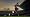 FIFA Soccer 09