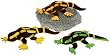 12 3 Assorted Salamander Case Pack 24