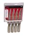 Kitchen & Housewares : Ginsu 4 Piece Stainless Steak Knife Set