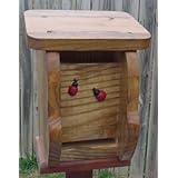 Ladybug House